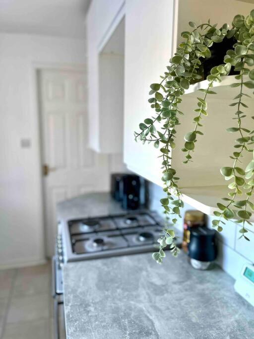 Close To City Centre-Quayside Bright Apartment غيتْسْهيد المظهر الخارجي الصورة